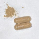 海苔胶囊工厂 - GMP认证有机喜来芝