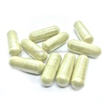 能量专注片生产厂家 - 耐力饮食性能