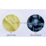 液体叶绿素滴剂工厂 - 素食体重管理OEM代工