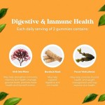 Sea Moss Gummies Manufacturer - Organic Turmeric Black Seed