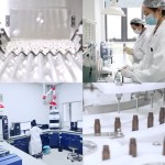 Mushroom Powder Manufacturer - Private Label Multi-Mushroom Formula