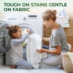 Solid Laundry Detergent Manufacturer - Enzyme Stain Remover