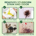 Laundry Powder Factory - 1kg Eco Friendly High Stain Removal