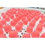 Sleep Gummy Supplier - Custom Melatonin Magnesium Vitamin D