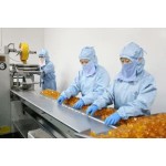 Coffee Gummy Factory - Custom Appetite Suppressant Green Bean