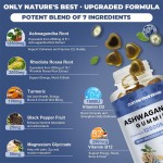 草本软糖生产厂家 - 姜黄墨角藻玛卡