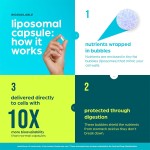 NAD+胶囊工厂 - 28000mg NMN PQQ白藜芦醇