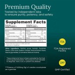 肌酸软糖供应商 - 运动前能量OEM代工