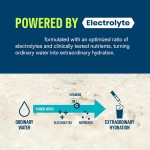 电解质粉生产厂家 - 可定制袋装条包