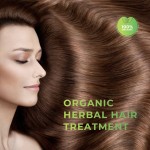 洗发粉生产厂家 - 阿育吠陀草本护理