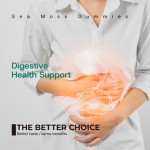 免疫促进软糖厂家 - 私标消化健康