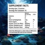 免疫促进软糖厂家 - 私标消化健康