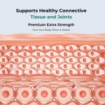 美白胶囊生产厂家 - 氧化应激黑斑