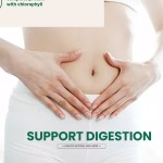 螺旋藻片供应商 - 超级食品能量消化免疫