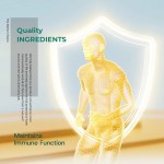 免疫片供应商 - 季节性三重作用支持代工