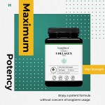 胶原蛋白片供应商 - 水解皮肤头发抗氧化