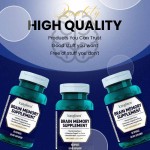 脑部补充剂供应商 - 脑疲劳记忆保持