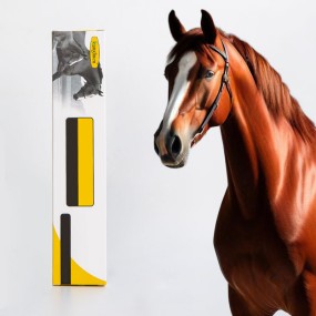 Horse Nutritional Gel Supplier - Graduated Digestive Support