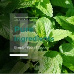 乳香胶厂家 - 有机赤藓糖醇天然萜烯混合物