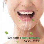 能量薄荷糖供应商 - 咖啡因L-茶氨酸大脑专注