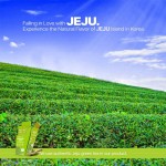 抹茶果冻条供应商 - 水合活力健康