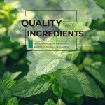 口香糖供应商 - 植物基薄荷口香糖代工