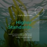 免疫促进软糖厂家 - 私标消化健康