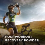 植物蛋白粉供应商 - 杏仁酱有机坚果