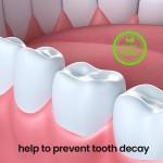 口香糖供应商 - 植物基薄荷口香糖代工