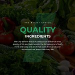 超级食品粉供应商 - 定制果蔬抗氧化