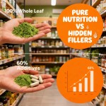 小麦草粉厂家 - 免疫能量原生超级食品