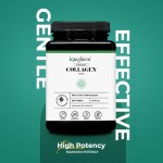 胶原蛋白片供应商 - 水解皮肤头发抗氧化