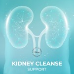 肝脏清洁粉生产厂家 - 排毒肠道健康免疫