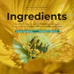 毛蕊花滴剂供应商 - 肺功能呼吸支持