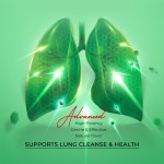 肺部清洁滴剂供应商 - 毛蕊花叶呼吸系统代工