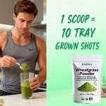 小麦草粉厂家 - 免疫能量原生超级食品