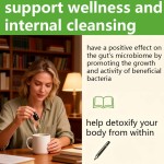 叶绿素滴剂厂家 - 素食铜内服除臭剂