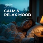 钙软糖厂家 - 骨骼关节免疫吸收