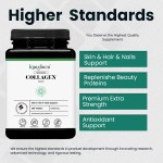 胶原蛋白片供应商 - 水解皮肤头发抗氧化