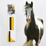 马匹护理供应商 - 热销驱虫补充剂代工