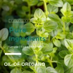 叶黄素软胶囊供应商 - 20mg视力护理批量供应