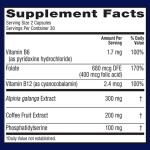 脑部补充剂供应商 - 脑疲劳记忆保持