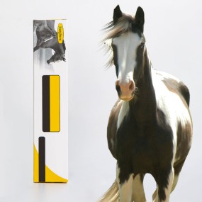 驱虫补充剂供应商 - 马匹护理动物健康