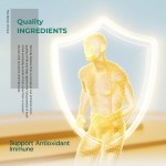 Omega3软糖供应商 - 儿童DHA EPA大脑专注