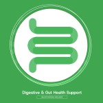 超级食品粉供应商 - 定制果蔬抗氧化