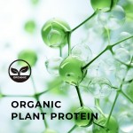 植物蛋白粉供应商 - 杏仁酱有机坚果