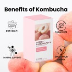 益生菌固体饮供应商 - 蔓越莓粉剂型