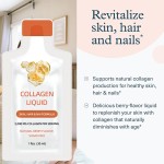 超级绿饮供应商 - 酵素膳食纤维补充剂