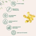 大蒜油软胶囊厂家 - 膳食补充剂软胶囊