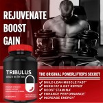 多种维生素铁片生产厂家 - 铁补充剂配方